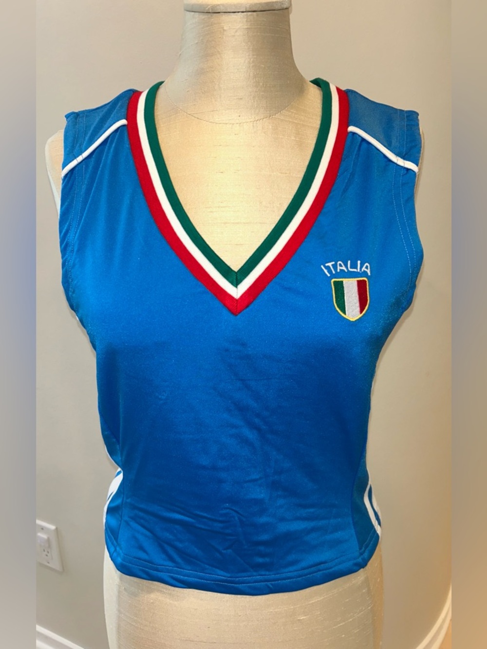 AKIRA Italia Blue Sleeveless V-Neck Tank with Tricolor Trim